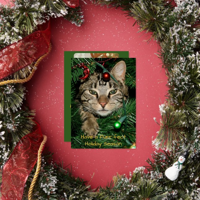 Cat Christmas Purr-fect Holiday  Foil Christmas (Insitu)