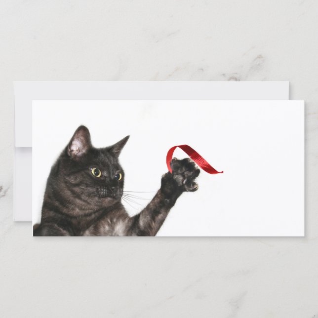 Cat Christmas ribbon Holiday Card (Front)