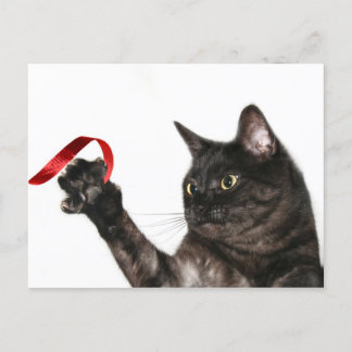 Cat Christmas ribbon Holiday Postcard