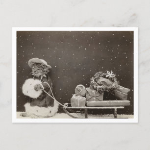 Cat Christmas Shopping Vintage Black and White Postcard