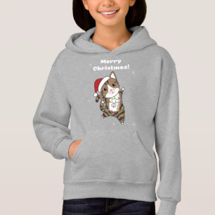 Cat Christmas Snow Winter Animals Cats