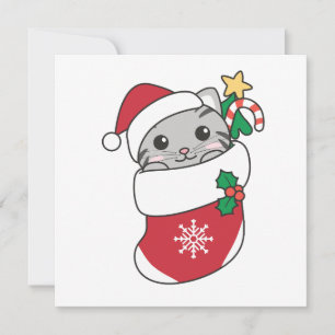 Cat Christmas Snow Winter Animals Cats Holiday Car Card
