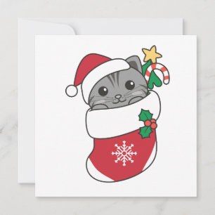 Cat Christmas Snow Winter Animals Cats Holiday Car Card