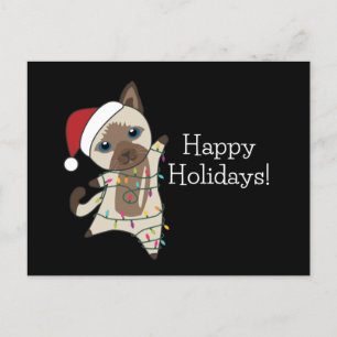 Cat Christmas Snow Winter Animals Cats Postcard