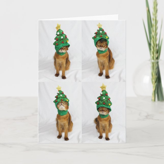 Cat Christmas Tree Hat Greeting Card (Front)