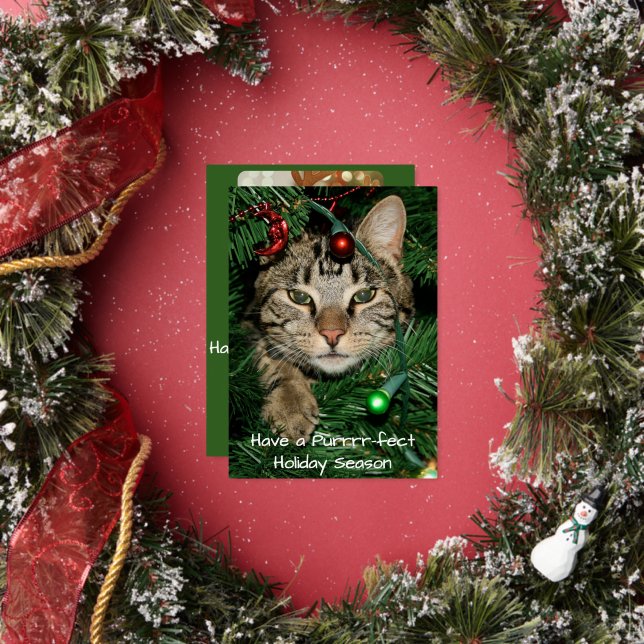 Cat Christmas Tree Perfect Holiday Christmas Card (Insitu)