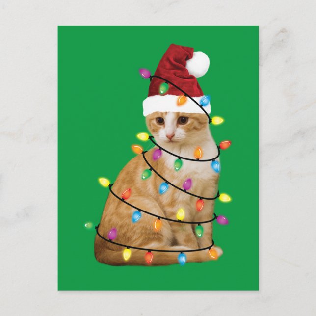 Cat Christmas Tree Santa Funny Xmas Cat Lover Postcard (Front)