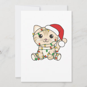 Cat Christmas Winter Animals Cats Holiday Card