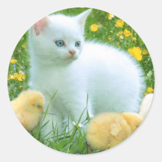 cat classic round sticker
