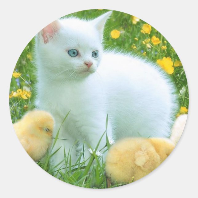cat classic round sticker (Front)