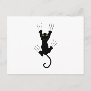 cat claws gato com garras postcard