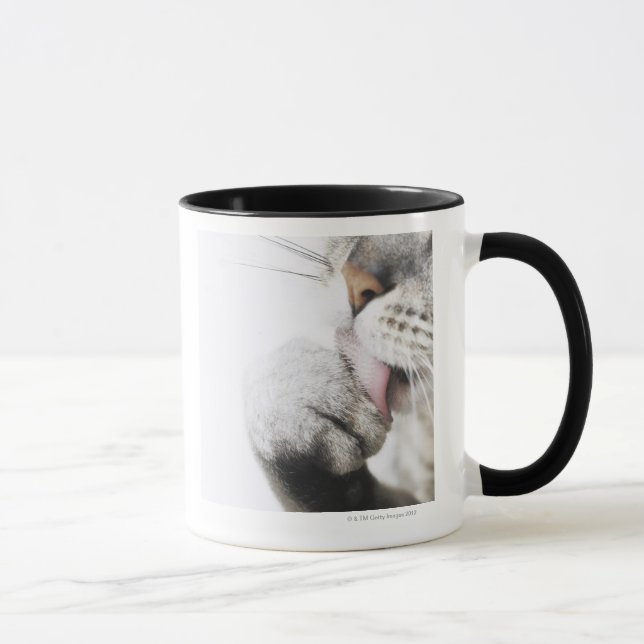 Cat cleaning paw mug (Right)