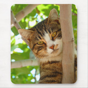 Cat Climbing a Tree Mouse Mat