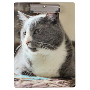Cat Clipboard