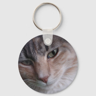 Cat close-up key ring