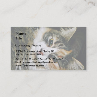 Cat Closeup Business Card
