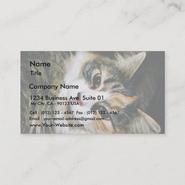 Cat Closeup Business Card (Front)