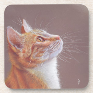 Cat coaster