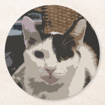 Cat Coaster