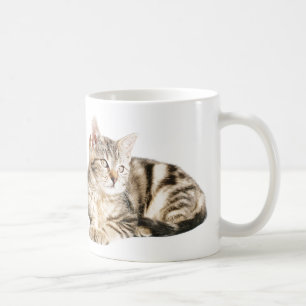 Cat Coffee Mug