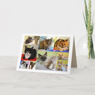 Cat Collage Birthday Card