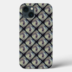 Cat Collage by Shirley Taylor iPhone 13 Case