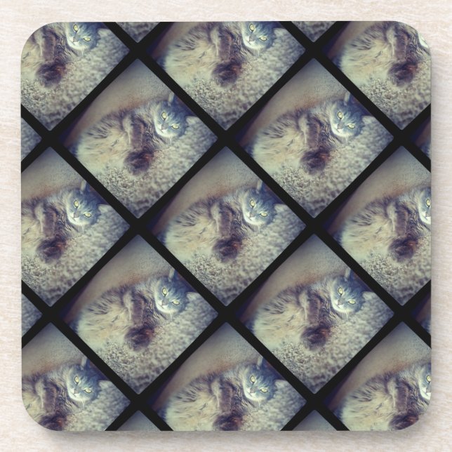 Cat Collage by Shirley Taylor Coaster (Front)