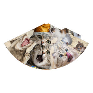 Cat Collage / Montage of Cats Paper Party Hat