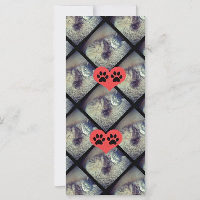 Cat Collage with PawPrints by Shirley Taylor (Front)