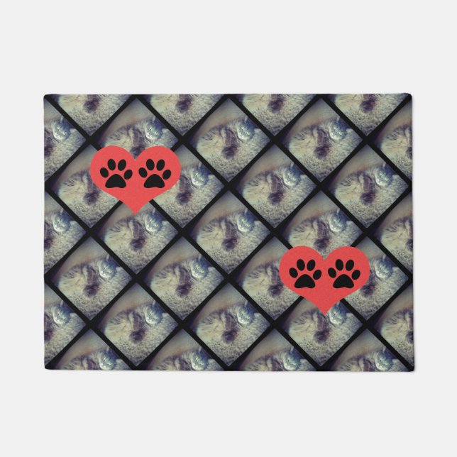 Cat Collage with PawPrints by Shirley Taylor Doormat (Front)