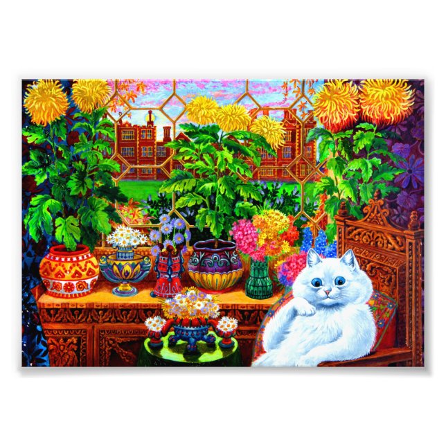 Cat College Master Photo Print (Front)