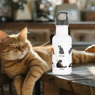 Cat Commands 532 Ml Water Bottle