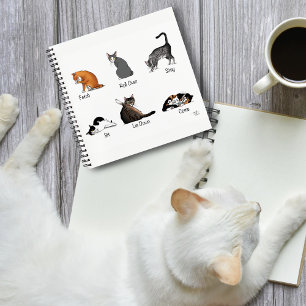 Cat Commands Notebook