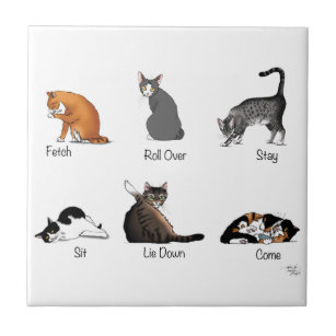 Cat Commands Tile