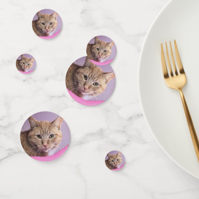 Cat Confetti (Group)
