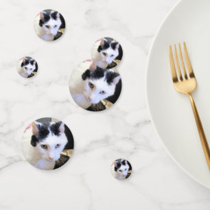Cat Confetti