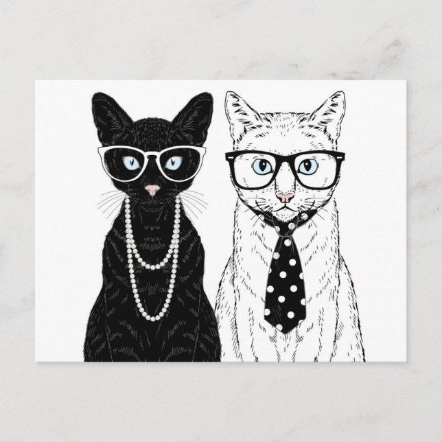Cat Couple Postcard (Front)