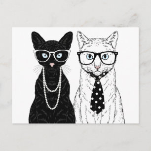 Cat Couple Postcard