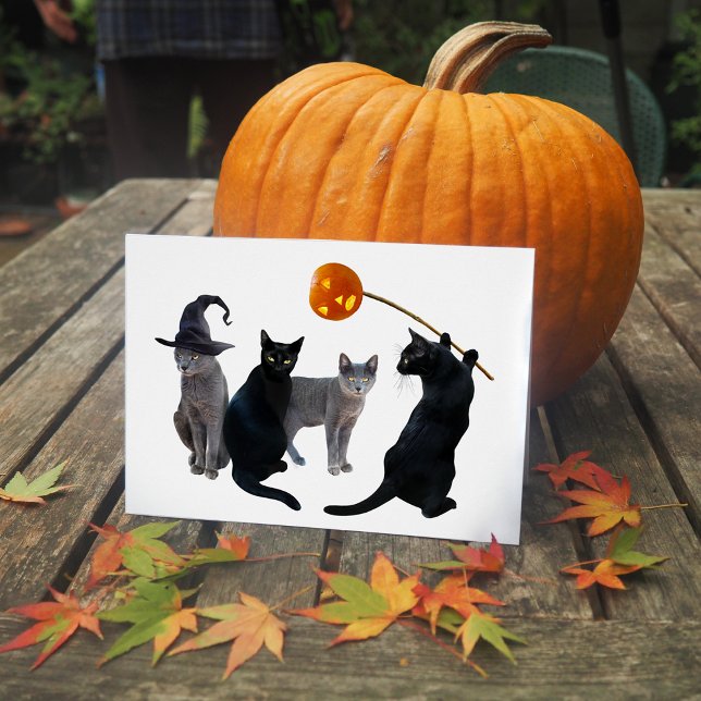 Cat Coven Halloween Card (Creator Uploaded)