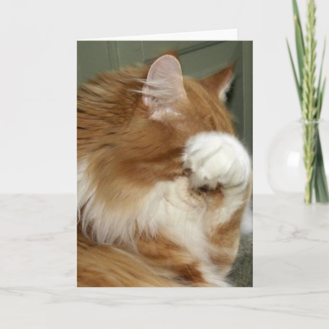 Cat Covering Eyes Card (Front)