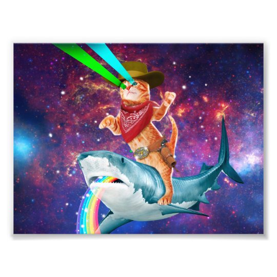 Cat Cowboy riding a Shark spewing a Rainbow Photo Print | Zazzle.co.uk