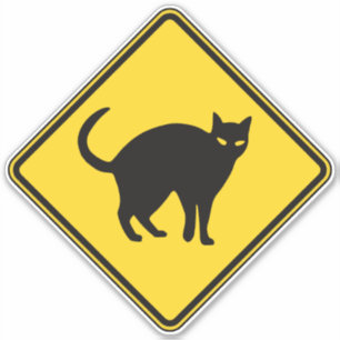 Cat Crossing