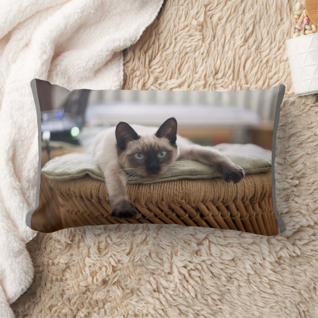 CAT CUDDLE SIAMESE PILLOWS (Blanket)