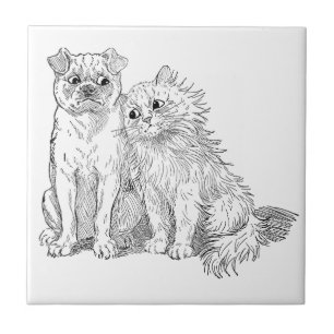 Cat Cuddles Up to Dog Tile