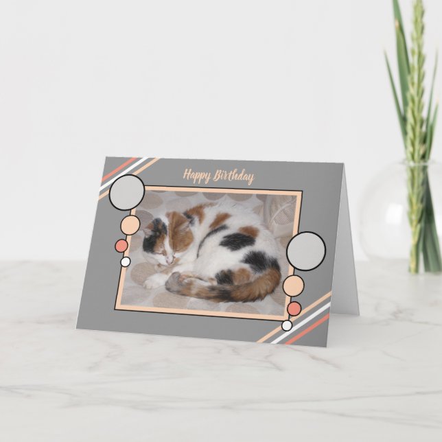 Cat curled up asleep photo coral grey birthday card (Front)