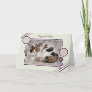 Cat curled up asleep photo green purple birthday card