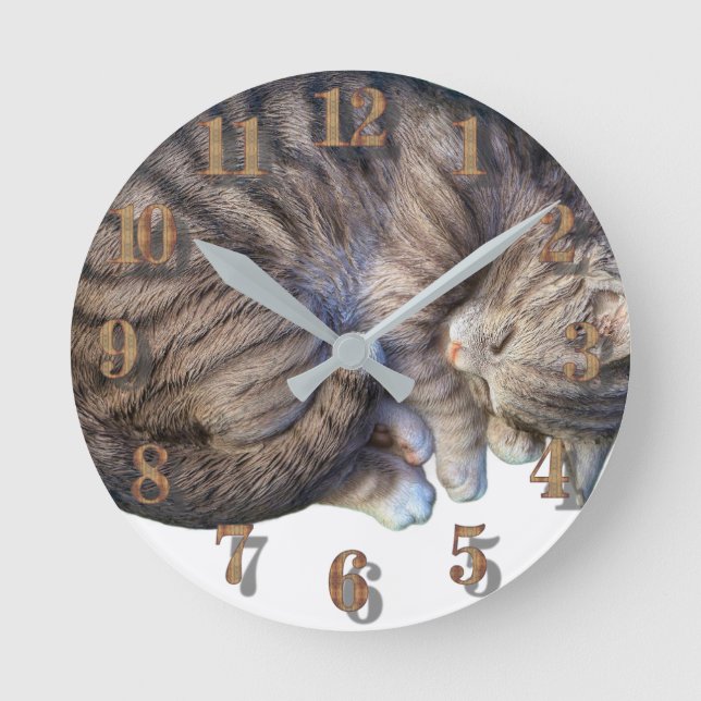 Cat curled up sleeping cute cosy round clock (Front)