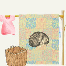 Cat curled up sleeping on quilt cute cozy