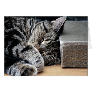 Cat Curled Up with a Good Book Card