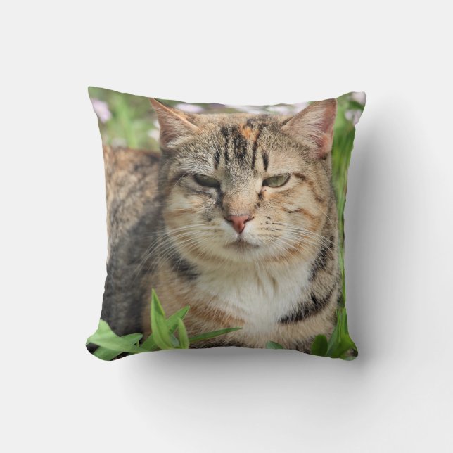 Cat Cushion (Front)